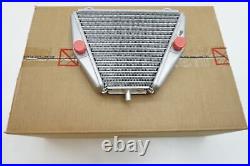 DUCATI Streetfighter Panigale V4 S 1100 Cooling Oil cooler radiator 54811364A