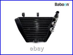 Oil Cooler Ducati Diavel 2011-2014